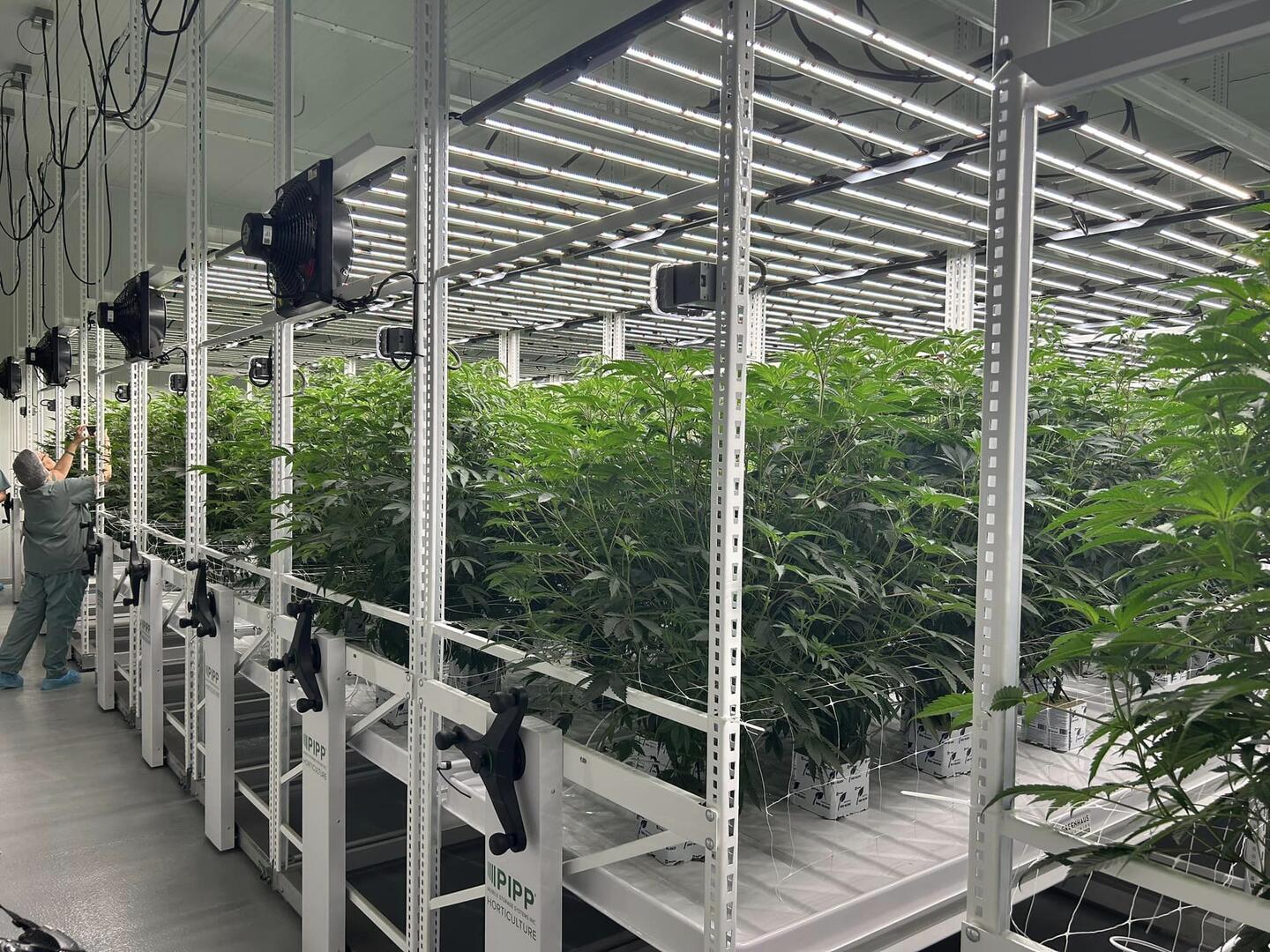 Indoor cultivation room with monitored lighting and airflow