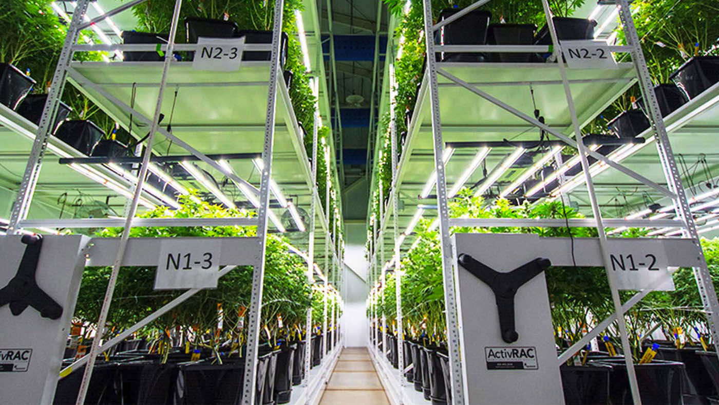 Multi-level mobile cultivation racks